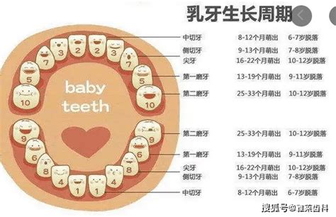 小朋友出大牙|宝宝出牙症状、顺序及护理知识全攻略（附宝宝牙齿各阶段清洁步。